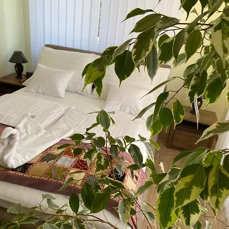 Lord Lux Апартаменты